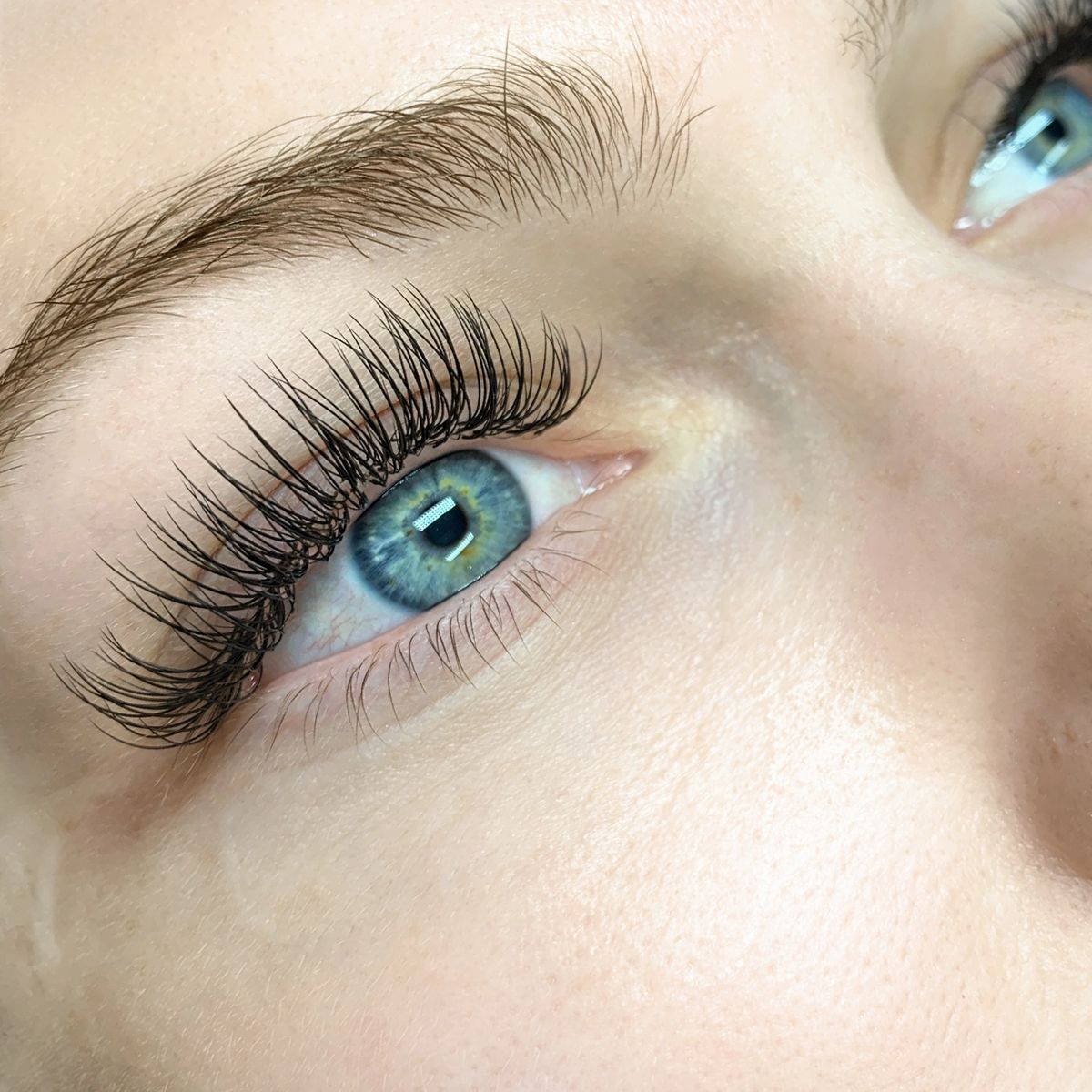 Lash Certification Course - Fundamentals Of Lashing