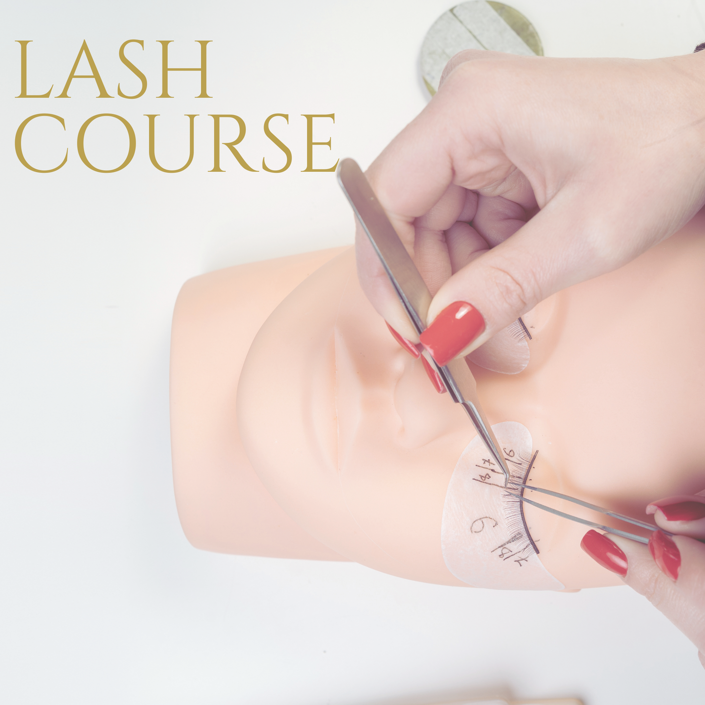 Lash Certification Course - Fundamentals Of Lashing